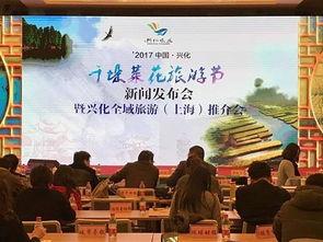 上海兴化最近新闻头条,最新热点事件深度解析