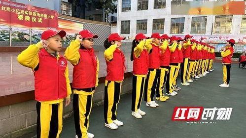 向阳小学爆料视频,揭秘校园生活点滴